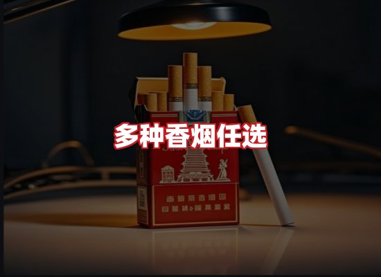 专业团队